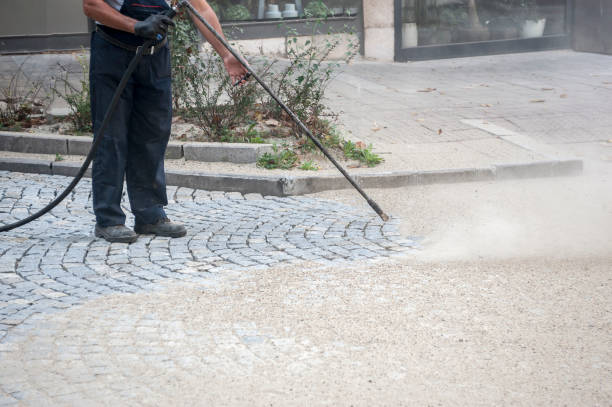 Best Roof Washing  in Vaville, CA